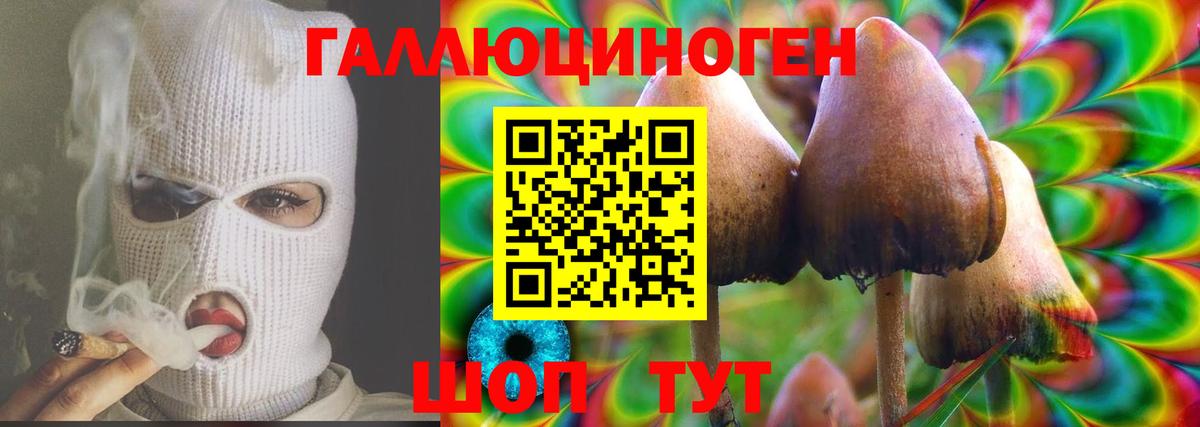 Рузаевка  что такое   Галлюциногенные грибы мицелий  Вход с VPN  Галлюциногенные грибы ЛСД 